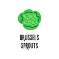 The brussels sprouts vector icon is isolated on a white background.